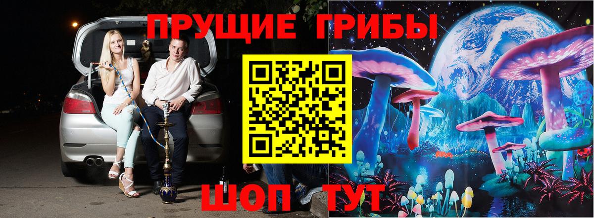 Сертолово  Псилоцибиновые грибы прущие грибы  Вход с VPN 