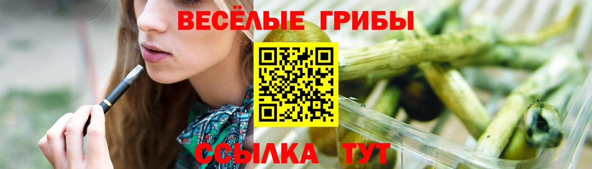 Галлюциногенные грибы Psilocybine cubensis Сертолово